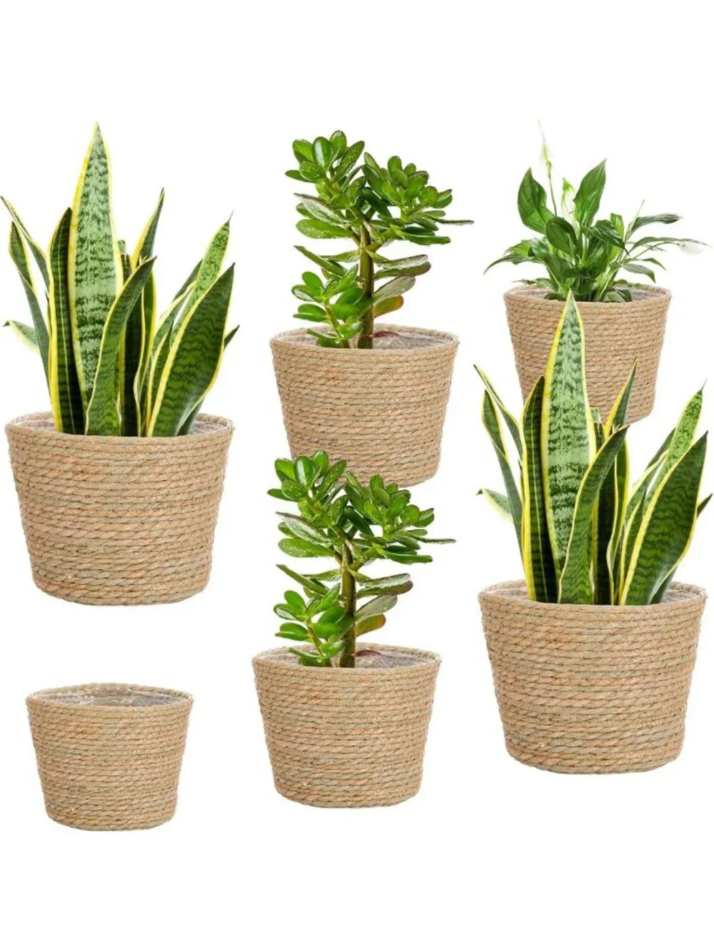 Hand Woven Seagrass Planter Basket Set of 6 | Classic Flower Pot Covers